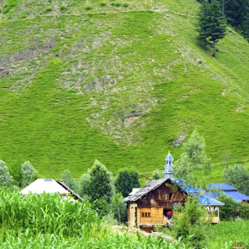 daksum