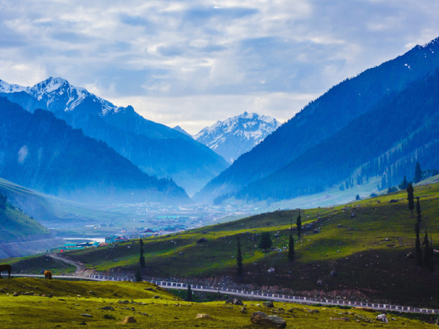 kashmir 1 1