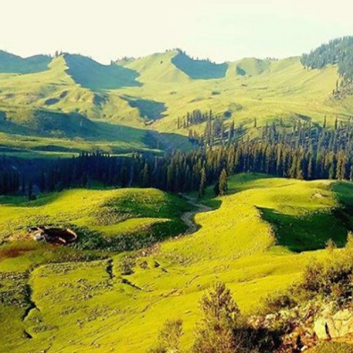 tosa maidan